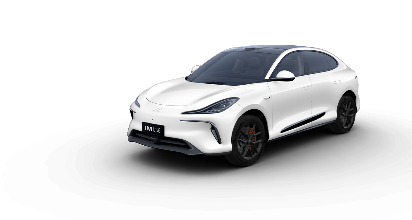LS6